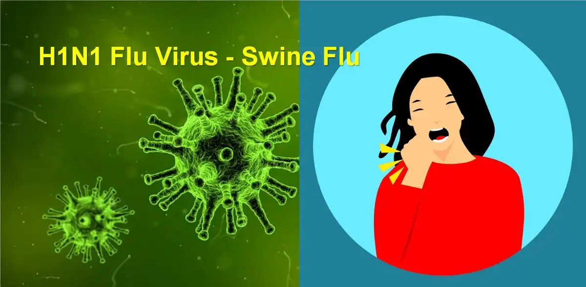 swine flu cases