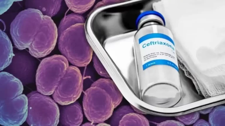 Antibiotic Resistance Raises Concern About Untreatable Gonorrhoea
