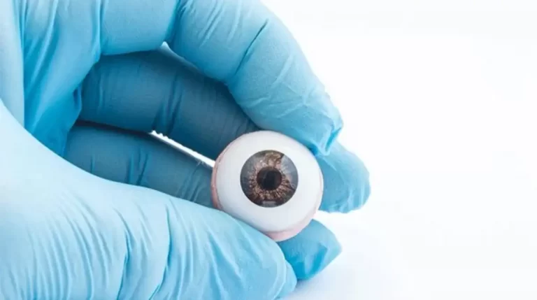 Eye Transplantation: First 3-D Printed Human Cornea Developed