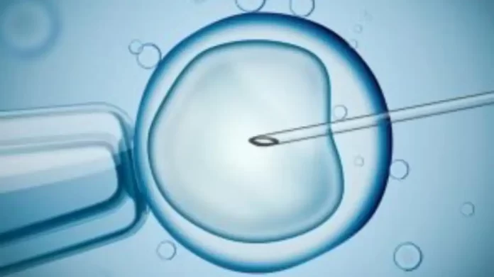 IVF linked to maternal morbidity
